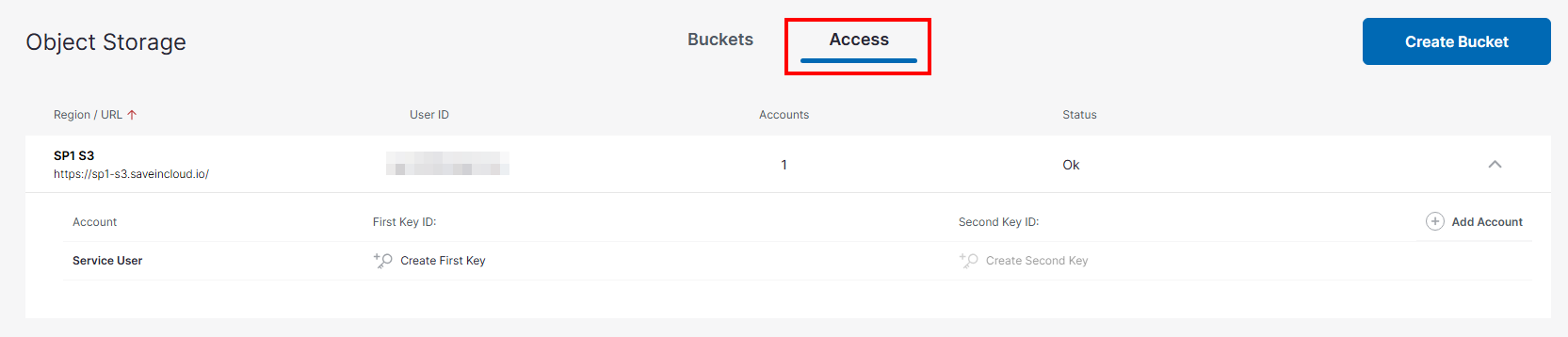 Tela Access do Storin