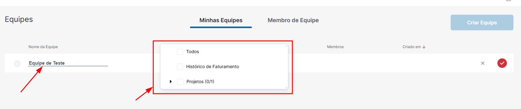 Definindo o nome e as permissões da equipe
