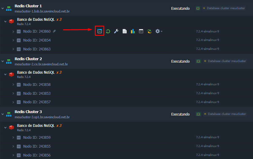 redis09